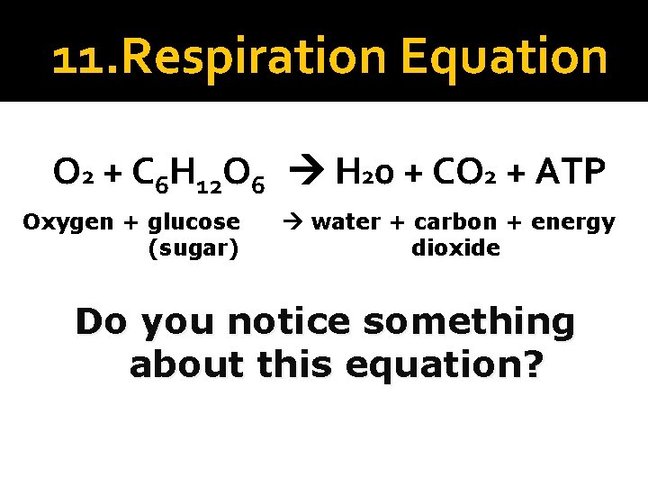 11. Respiration Equation O 2 + C 6 H 12 O 6 H 20