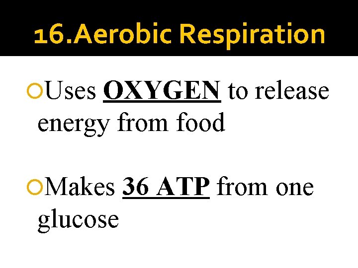 16. Aerobic Respiration Uses OXYGEN to release energy from food Makes glucose 36 ATP