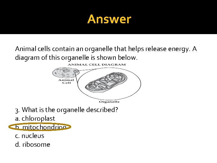 Answer Animal cells contain an organelle that helps release energy. A diagram of this
