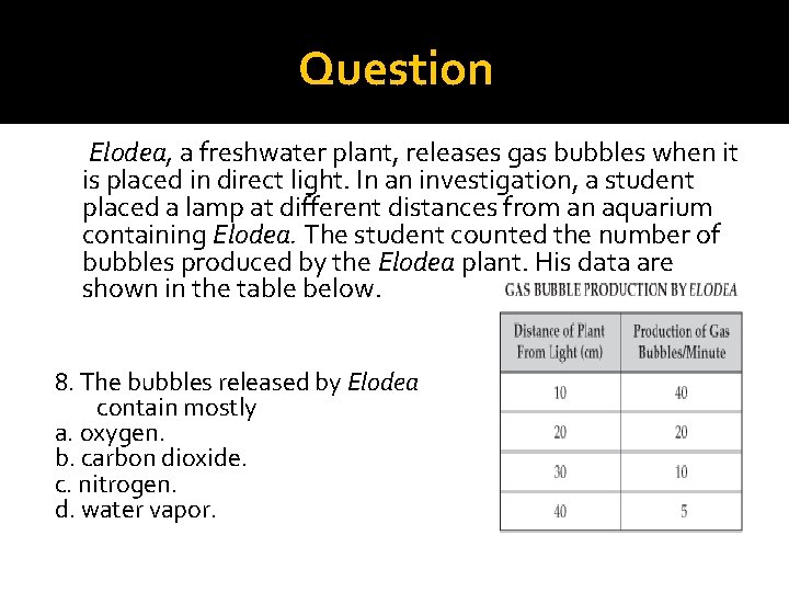 Question Elodea, a freshwater plant, releases gas bubbles when it is placed in direct