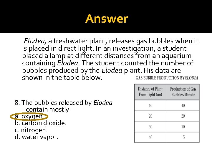 Answer Elodea, a freshwater plant, releases gas bubbles when it is placed in direct