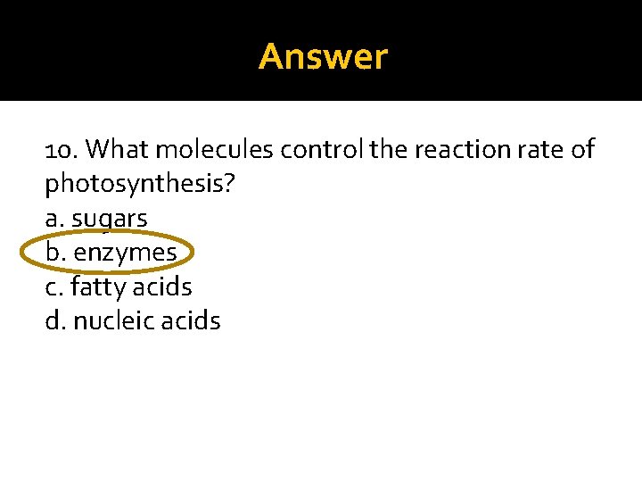 Answer 10. What molecules control the reaction rate of photosynthesis? a. sugars b. enzymes