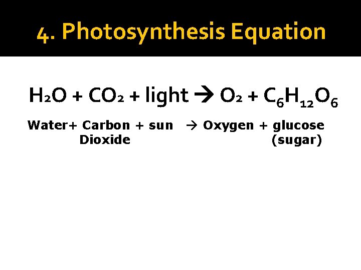 4. Photosynthesis Equation H 2 O + CO 2 + light O 2 +