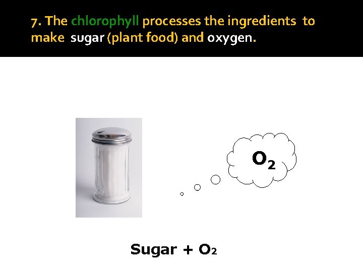 7. The chlorophyll processes the ingredients to make sugar (plant food) and oxygen. O