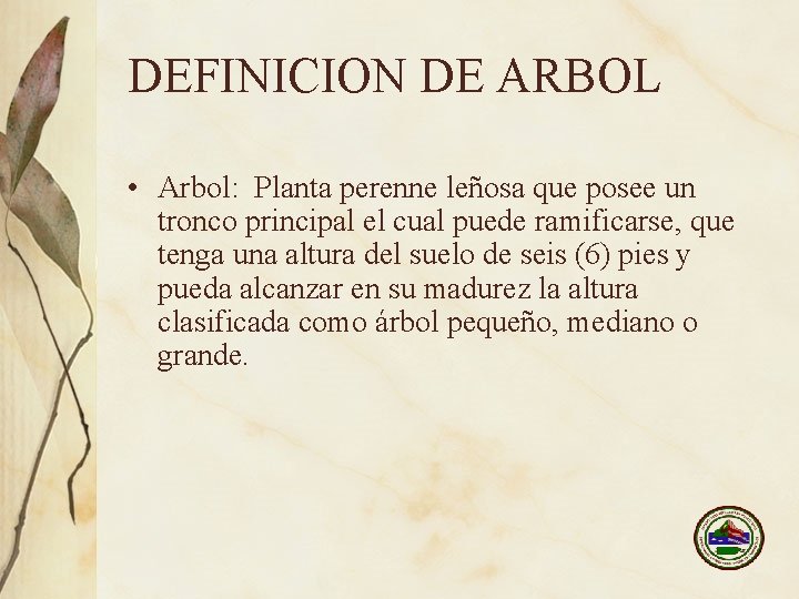 DEFINICION DE ARBOL • Arbol: Planta perenne leñosa que posee un tronco principal el