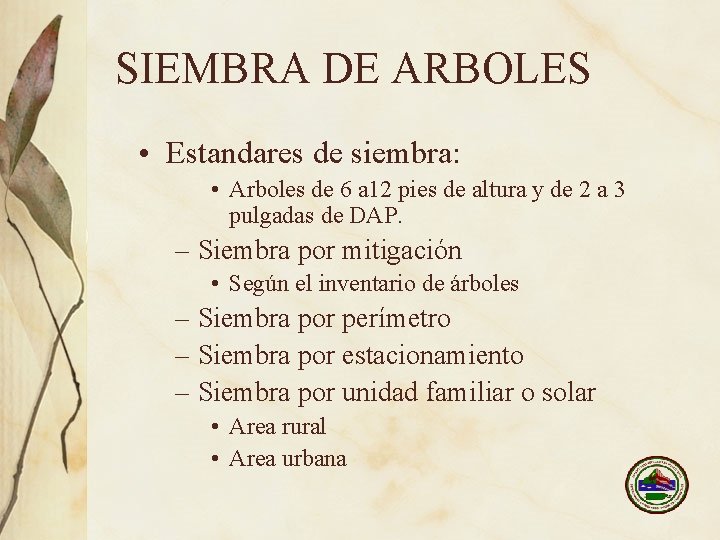 SIEMBRA DE ARBOLES • Estandares de siembra: • Arboles de 6 a 12 pies