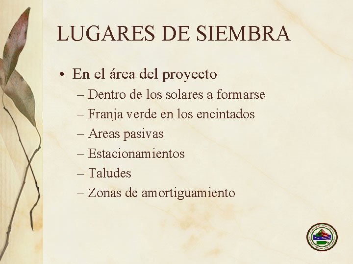 LUGARES DE SIEMBRA • En el área del proyecto – Dentro de los solares