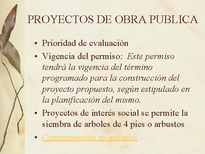 PROYECTOS DE OBRA PUBLICA • Prioridad de evaluación • Vigencia del permiso: Este permiso