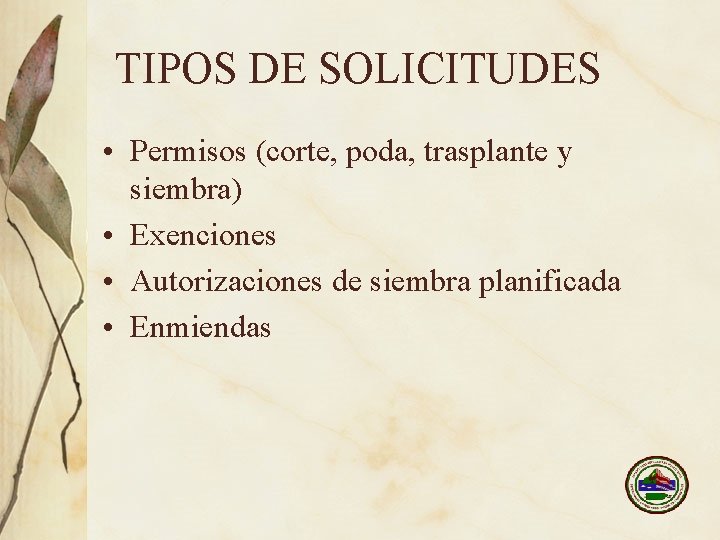 TIPOS DE SOLICITUDES • Permisos (corte, poda, trasplante y siembra) • Exenciones • Autorizaciones