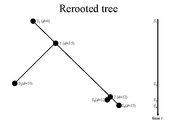 Rerooted tree S 1 (d=0) S 1 1 (d=3. 5) S 2(d=10) S 2