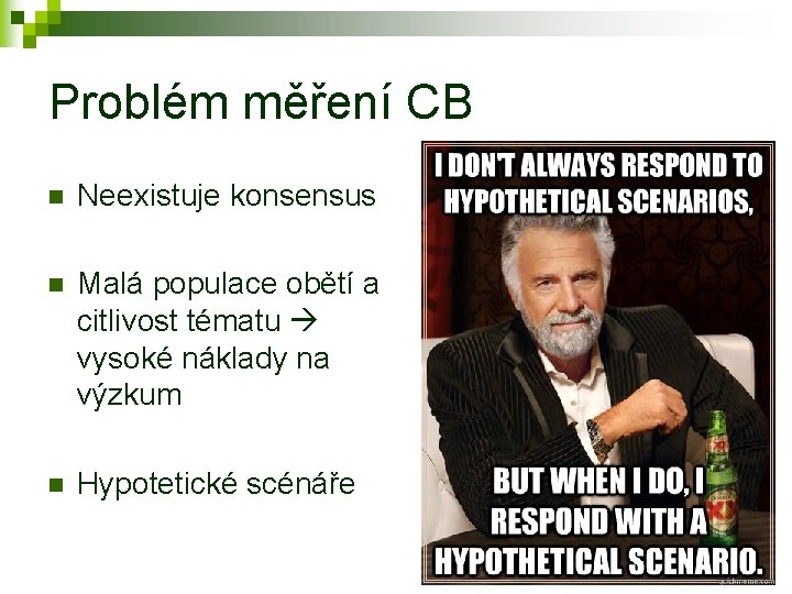 Problém měření CB n Neexistuje konsensus n Malá populace obětí a citlivost tématu vysoké