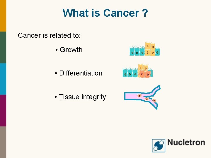 What is Cancer ? Cancer is related to: • Growth • Differentiation • Tissue