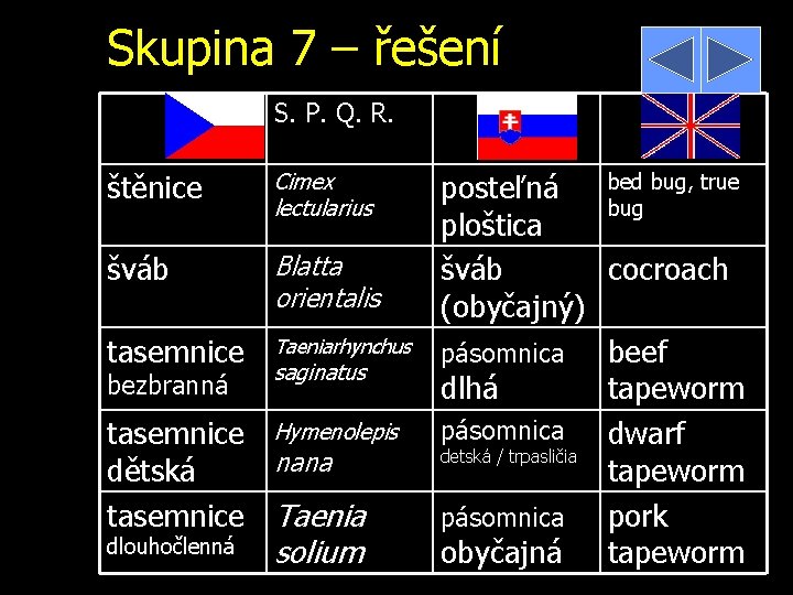 Skupina 7 – řešení S. P. Q. R. štěnice Cimex lectularius šváb Blatta orientalis