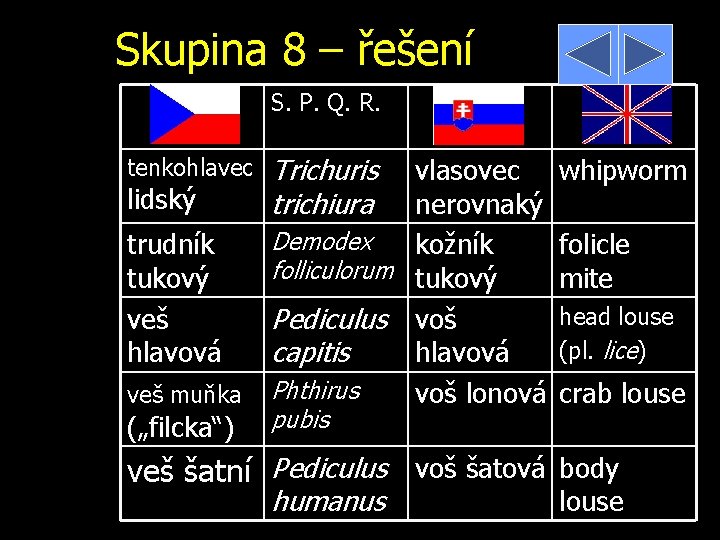 Skupina 8 – řešení S. P. Q. R. tenkohlavec lidský trudník tukový veš hlavová