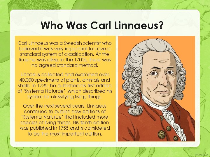 Who Was Carl Linnaeus? Carl Linnaeus was a Swedish scientist who believed it was Who Was Carl Linnaeus? Carl Linnaeus was a Swedish scientist who believed it was