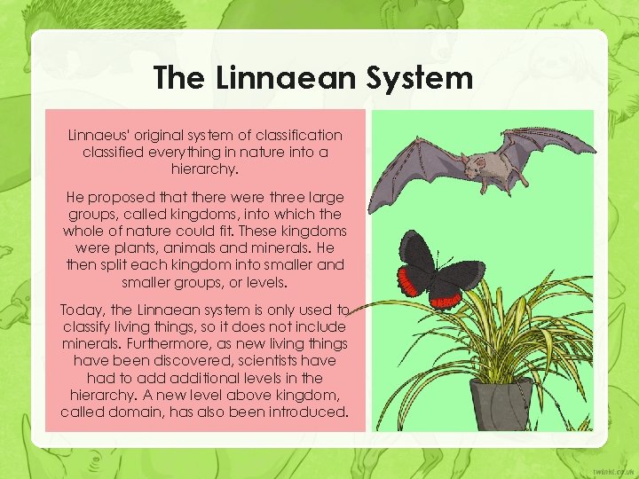 The Linnaean System Linnaeus' original system of classification classified everything in nature into a The Linnaean System Linnaeus' original system of classification classified everything in nature into a