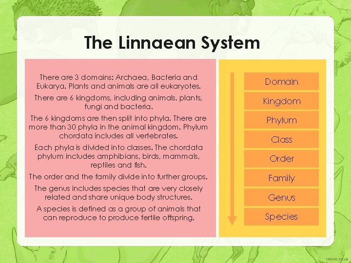 The Linnaean System There are 3 domains: Archaea, Bacteria and Eukarya. Plants and animals The Linnaean System There are 3 domains: Archaea, Bacteria and Eukarya. Plants and animals