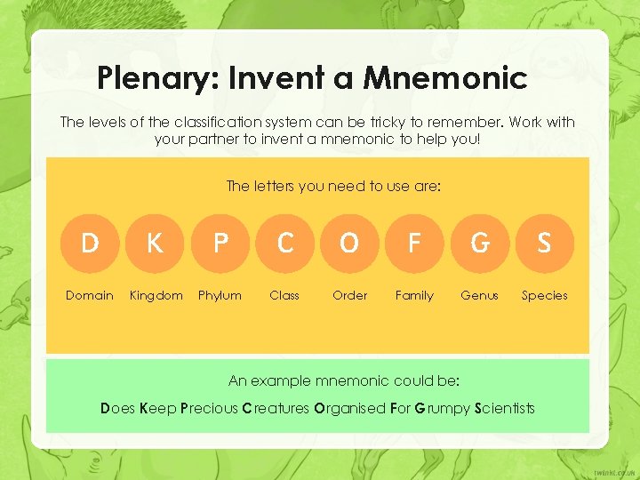 Plenary: Invent a Mnemonic The levels of the classification system can be tricky to Plenary: Invent a Mnemonic The levels of the classification system can be tricky to