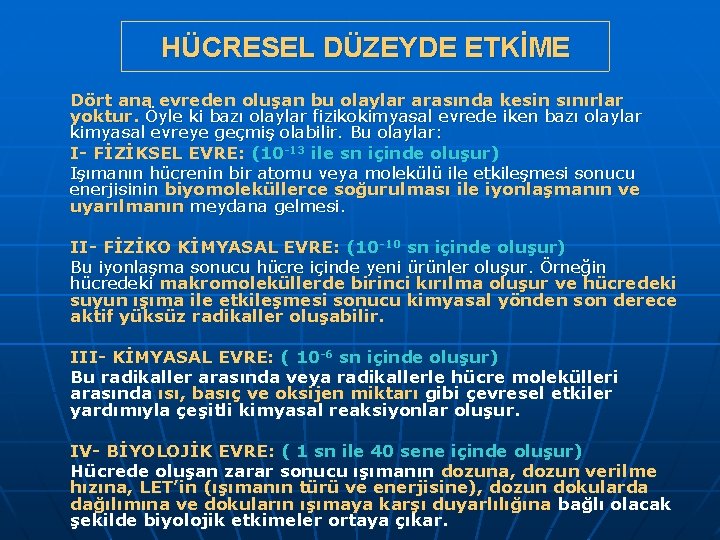 HÜCRESEL DÜZEYDE ETKİME Dört ana evreden oluşan bu olaylar arasında kesin sınırlar yoktur. Öyle