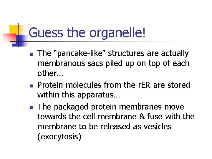 Guess the organelle! n n n The “pancake-like” structures are actually membranous sacs piled