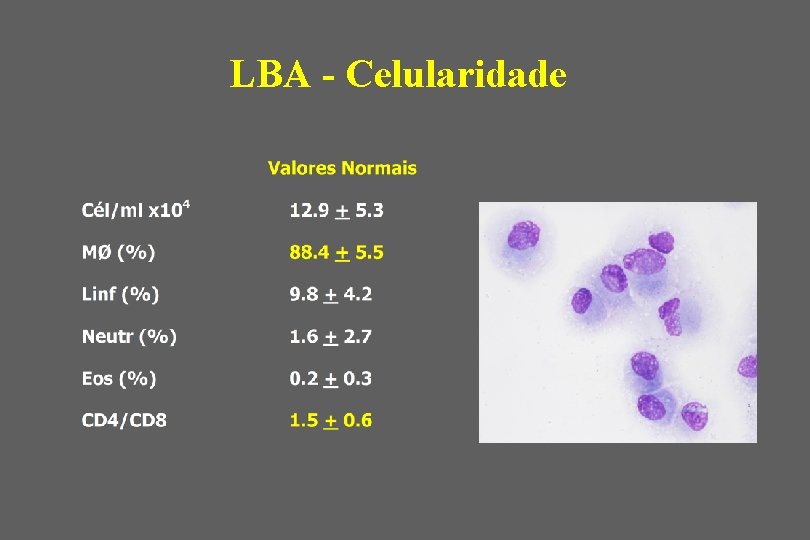 LBA - Celularidade 