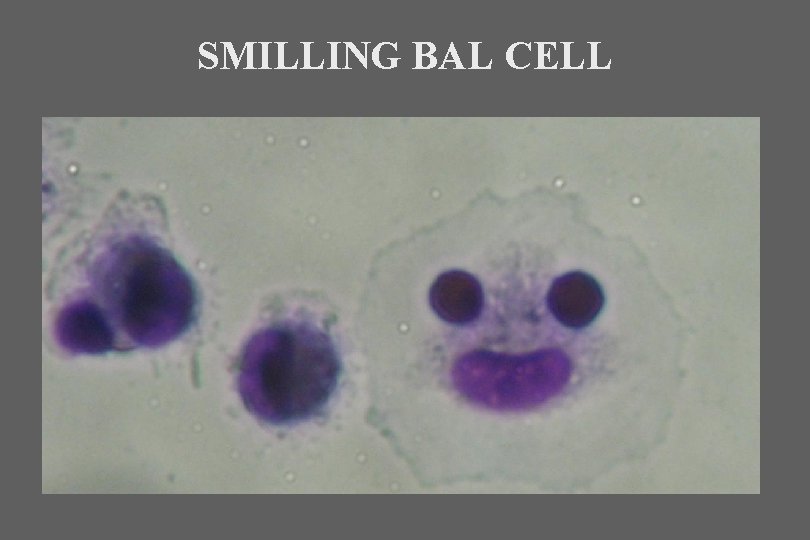 SMILLING BAL CELL 