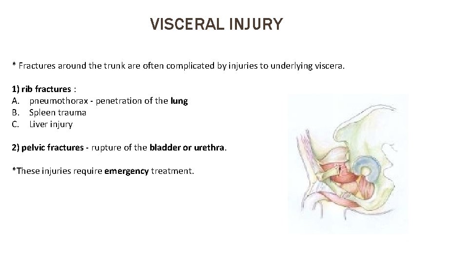 VISCERAL INJURY * Fractures around the trunk are often complicated by injuries to underlying