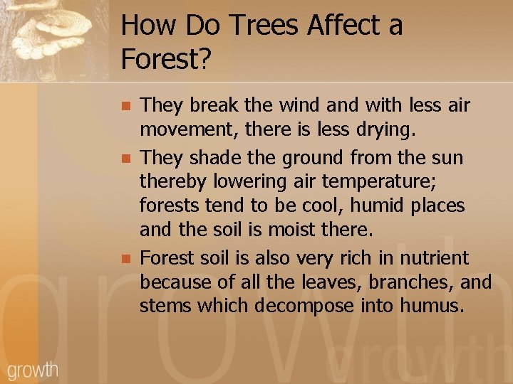 How Do Trees Affect a Forest? n n n They break the wind and