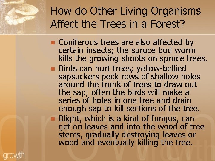 How do Other Living Organisms Affect the Trees in a Forest? n n n
