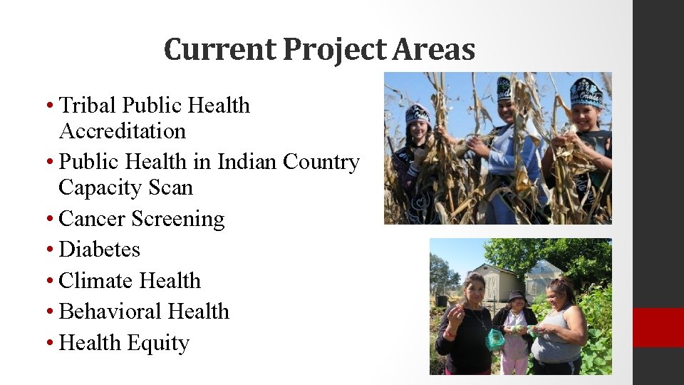 Current Project Areas • Tribal Public Health Accreditation • Public Health in Indian Country
