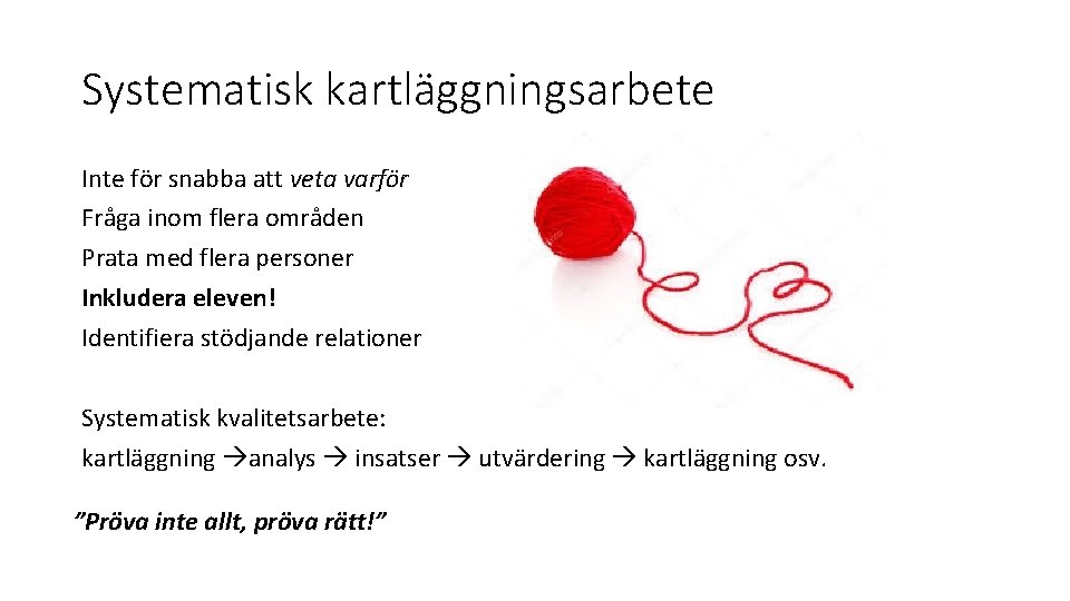 Systematisk kartläggningsarbete Inte för snabba att veta varför Fråga inom flera områden Prata med