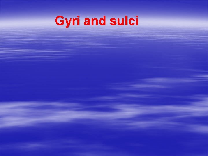 Gyri and sulci 