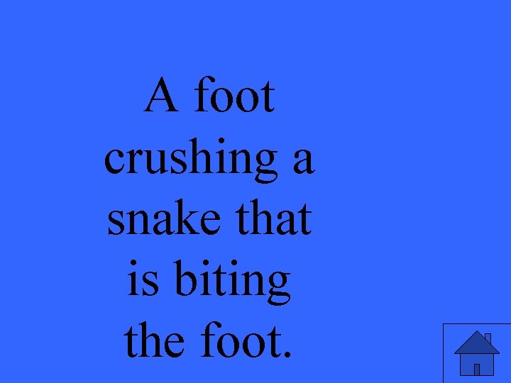 A foot crushing a snake that is biting the foot. 