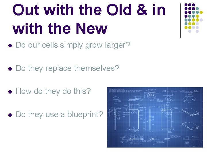 Out with the Old & in with the New l Do our cells simply