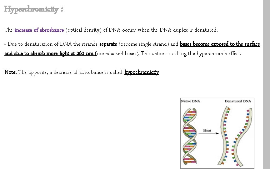 Hyperchromicity : The increase of absorbance (optical density) of DNA occurs when the DNA