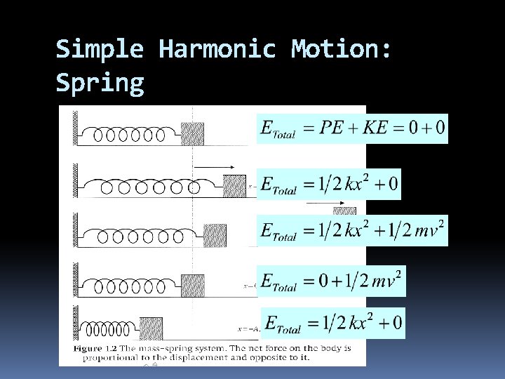 Simple Harmonic Motion: Spring 