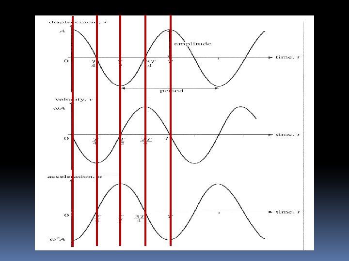 Relating SHM to Motion Around A Circle These equations yield the following graphs 