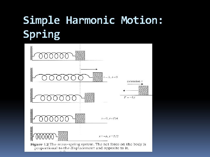 Simple Harmonic Motion: Spring 