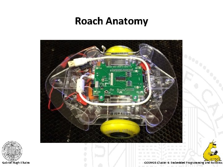 Roach Anatomy Gabriel Hugh Elkaim COSMOS Cluster 6: Embedded Programming and Robotics 