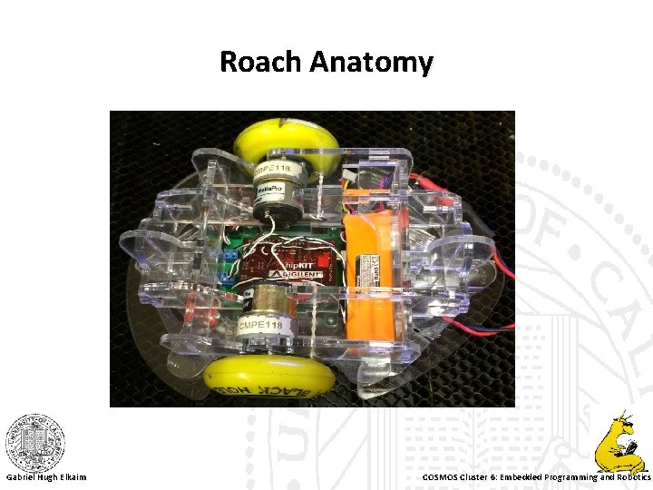 Roach Anatomy Gabriel Hugh Elkaim COSMOS Cluster 6: Embedded Programming and Robotics 