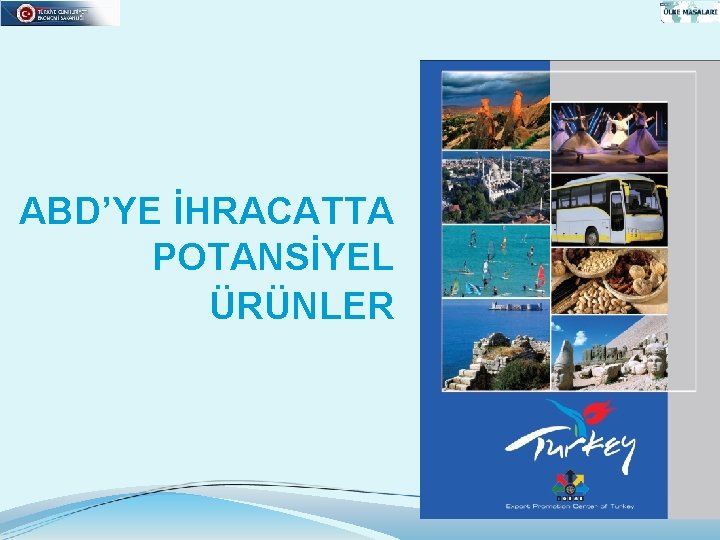 ABD’YE İHRACATTA POTANSİYEL ÜRÜNLER 