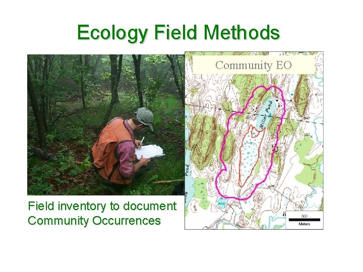 Ecology Field Methods Community EO Field inventory to document Community Occurrences 