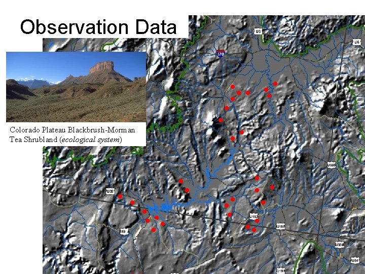 Observation Data Colorado Plateau Blackbrush-Morman Tea Shrubland (ecological system) 