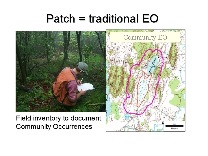 Patch = traditional EO Community EO Field inventory to document Community Occurrences 