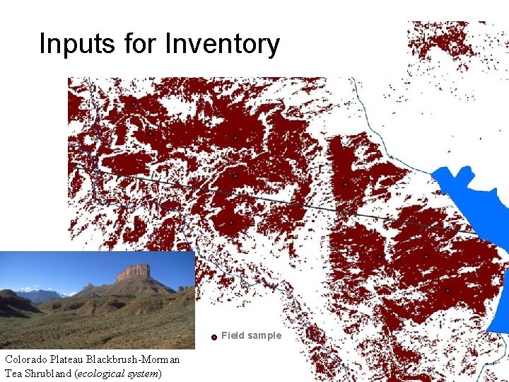 Inputs for Inventory Field sample Colorado Plateau Blackbrush-Morman Tea Shrubland (ecological system) 