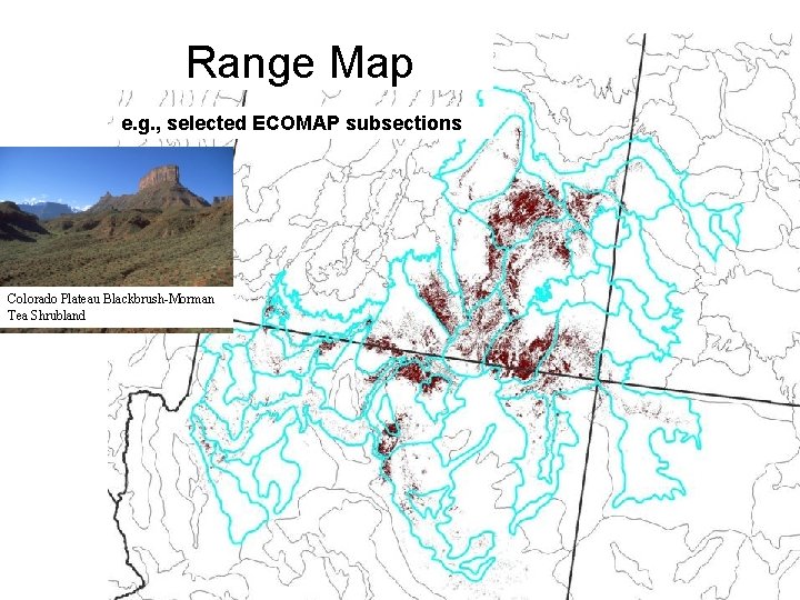 Range Map e. g. , selected ECOMAP subsections Colorado Plateau Blackbrush-Morman Tea Shrubland 