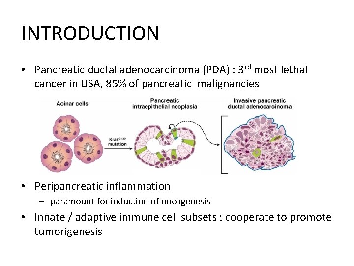 INTRODUCTION • Pancreatic ductal adenocarcinoma (PDA) : 3 rd most lethal cancer in USA,