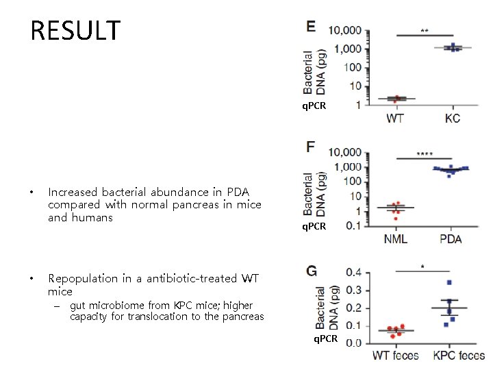 RESULT q. PCR • • Increased bacterial abundance in PDA compared with normal pancreas