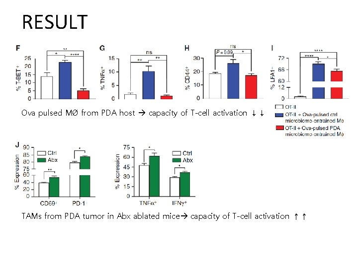 RESULT Ova pulsed MØ from PDA host capacity of T-cell activation ↓↓ TAMs from