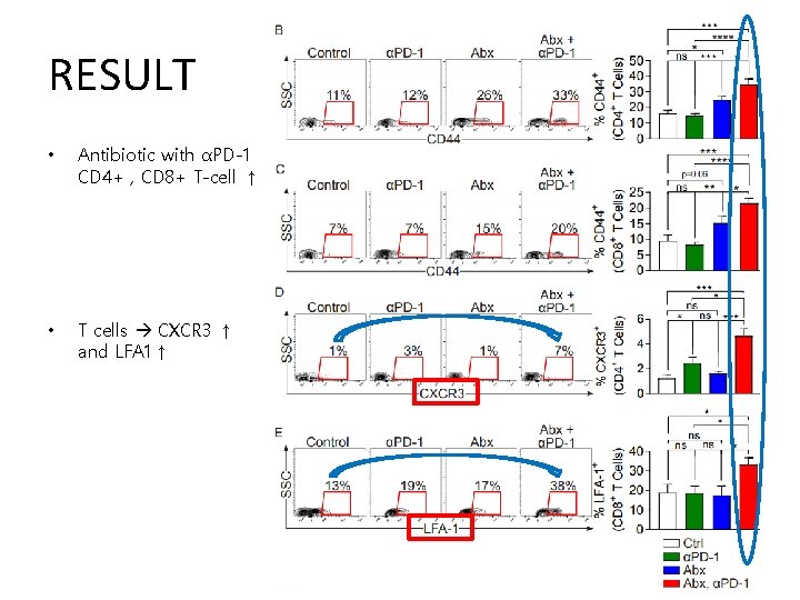 RESULT • Antibiotic with αPD-1 CD 4+ , CD 8+ T-cell ↑ • T